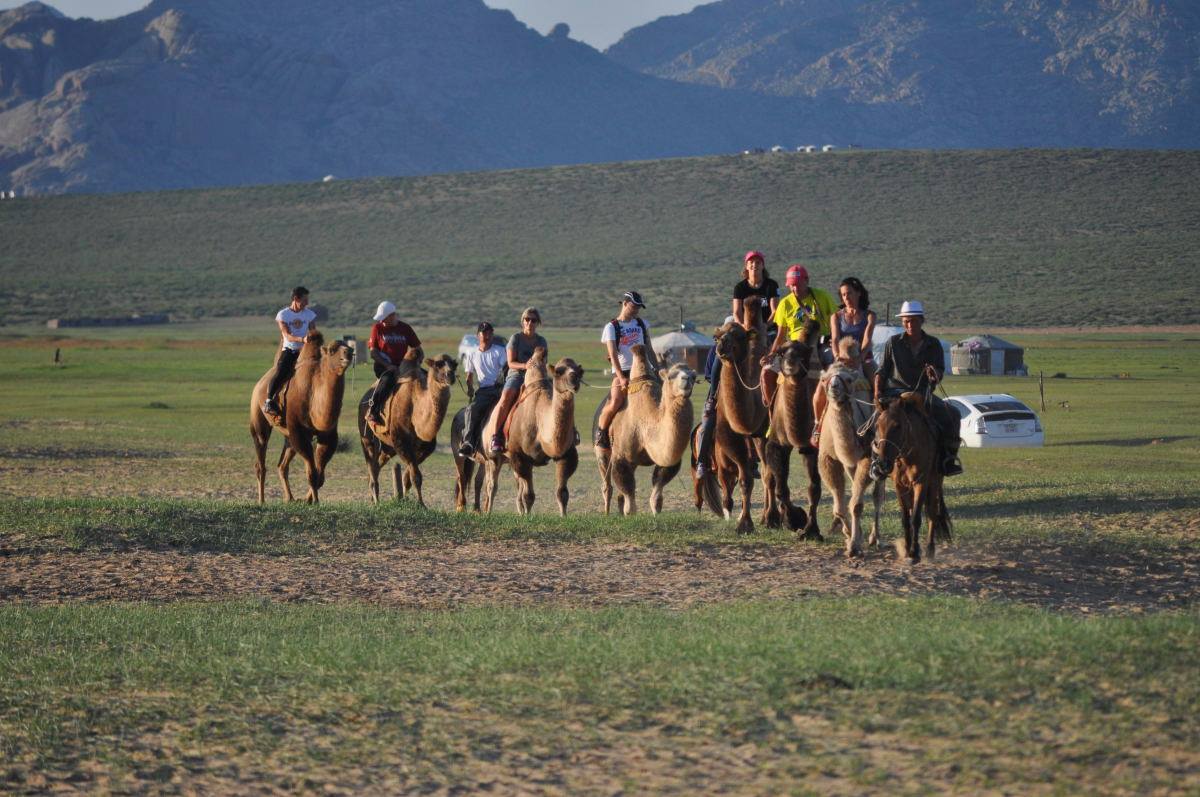 mongolia trail run actividad de camellos